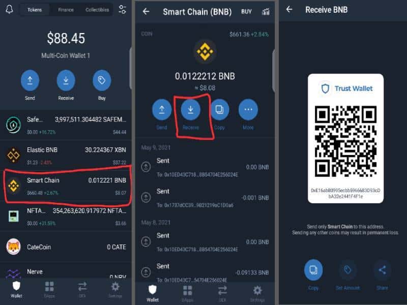 what is smart chain on trust wallet