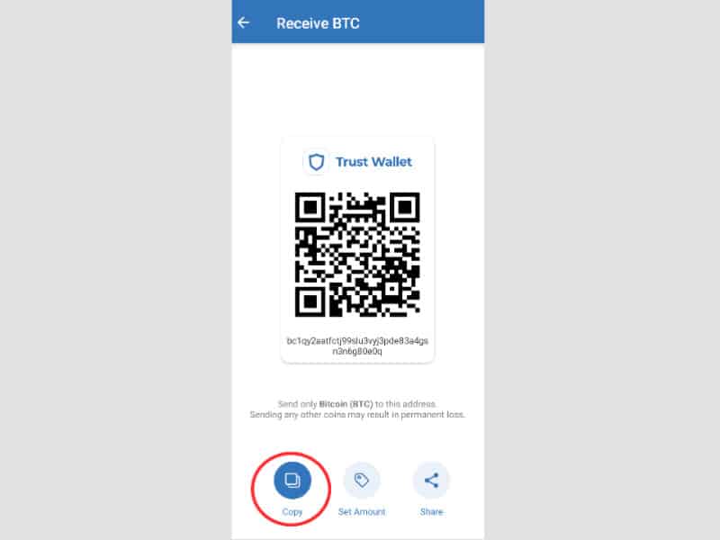 click-on-copy-wallet-address
