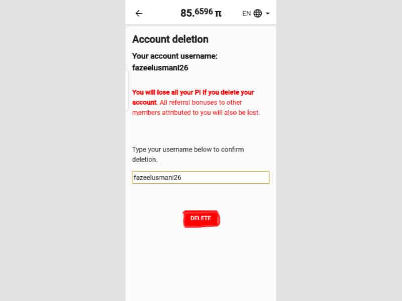 enter-pi-account-username