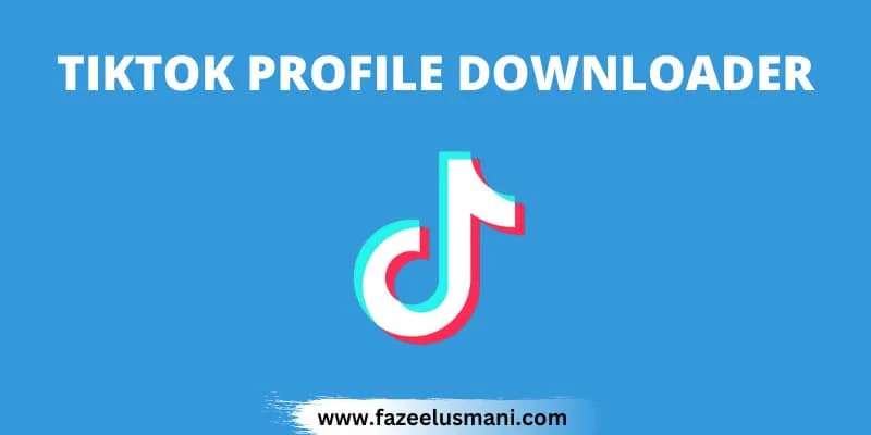 tiktok-profile-picture-downloader tiktok-profile-picture-downloader